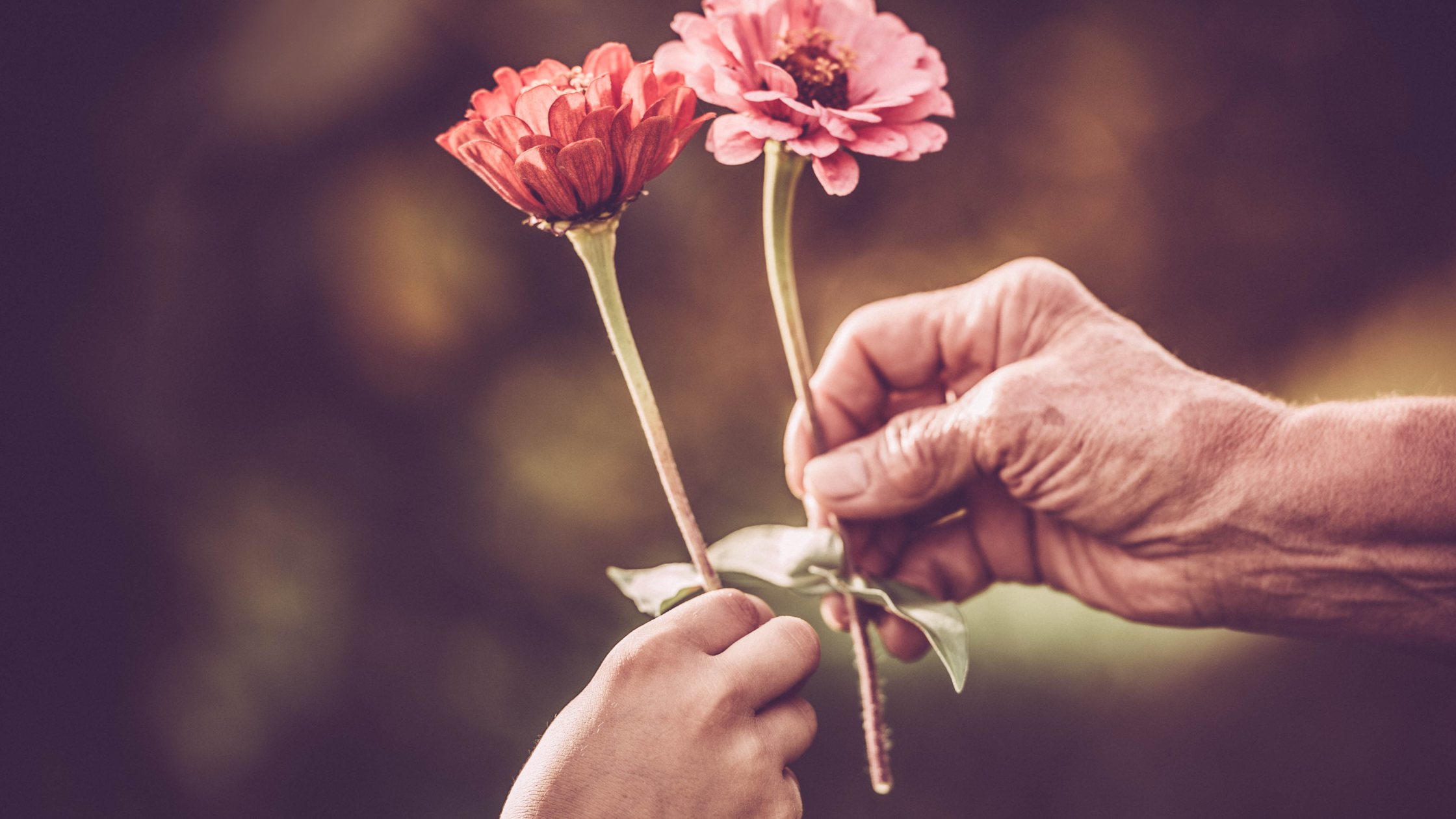 Créer un vrai lien sécure, compatir, être dans l'empathie par amour pas par pitié